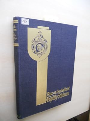 Bild des Verkufers fr Teplitz-Schnau. Die sudetendeutschen Selbstverwaltungskrper Band 4. zum Verkauf von Klaus Ennsthaler - Mister Book