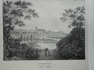 Stadt Ulm. Ansicht vom Galgenberg aus. Kreidelithographie von Adolph Kunike nach J. Alt. Aus Dona...