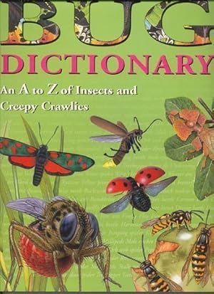 Seller image for Bug Dictionary An A to Z of Insects and Creepy Crawlies for sale by Reliant Bookstore
