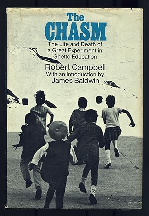 THE Chasm: The Life and Death of a Great Experiment in Ghetto Education