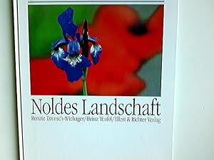 Immagine del venditore per Noldes Landschaft: Eine Bildreise venduto da Antiquariat Buchhandel Daniel Viertel