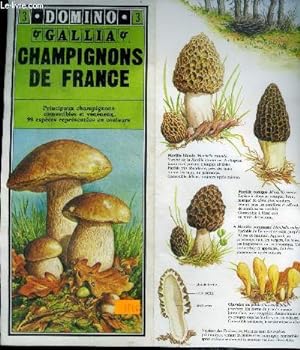 Seller image for Domino gallia N3 champignons de france- principaux champignons comestibles et veneneux, 99 especes representees en couleur for sale by Le-Livre
