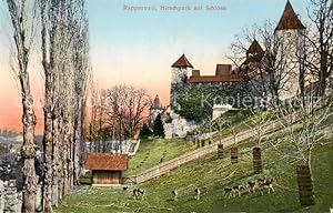 Bild des Verkufers fr Postkarte Carte Postale 13796876 Rapperswil -Jona Rapperswyl Zuerichsee SG Hirschpark mit Schloss zum Verkauf von Versandhandel Boeger