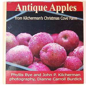 Antique Apples from Kilcherman's Christmas Cove Farm
