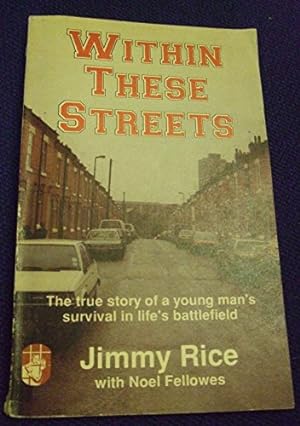 Bild des Verkufers fr Within These Streets: The True Story of a Young Man's Survival in Life's Minefield zum Verkauf von WeBuyBooks