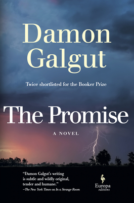 Seller image for The Promise: A Novel (Booker Prize Winner) (Paperback or Softback) for sale by BargainBookStores