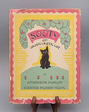 Sooty An Aristocratic Cat