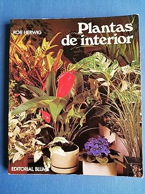 Plantas de interior