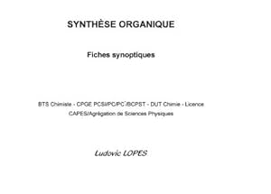 Image du vendeur pour SYNTHSE ORGANIQUE : Fiches synoptiques : BTS Chimiste - CPGE PCSI/PC/PC\*/BCPST - DUT Chimie - Licence - CAPES/Agrgation de Sciences Physiques mis en vente par Smartbuy