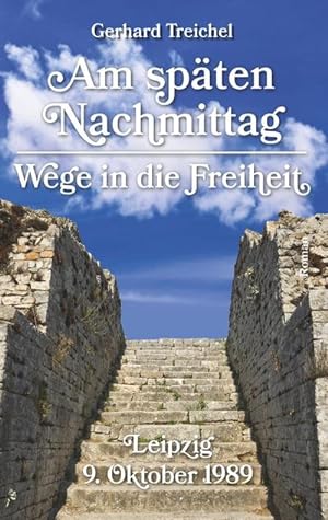 Seller image for Am spten Nachmittag : Wege in die Freiheit for sale by Smartbuy