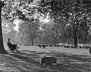 Hyde Park, London, 1934