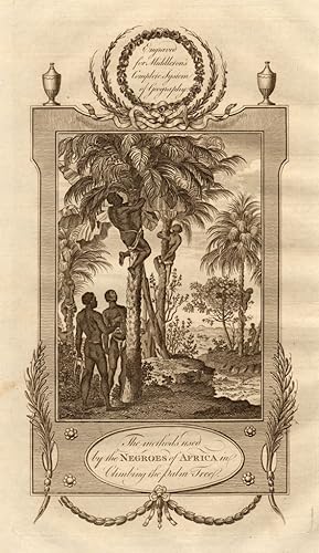 Immagine del venditore per The methods used by the negroes of Africa in climbing the palm tree venduto da Antiqua Print Gallery