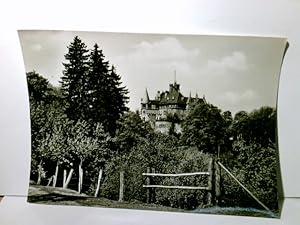 Witzenhausen / Werra. Schloß Berlepsch. Alte Ansichtskarte / Postkarte s/w, ungel. ca 1965 ?. Bli...
