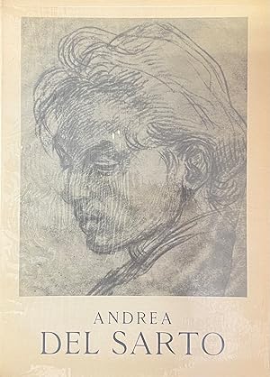 ANDREA DEL SARTO