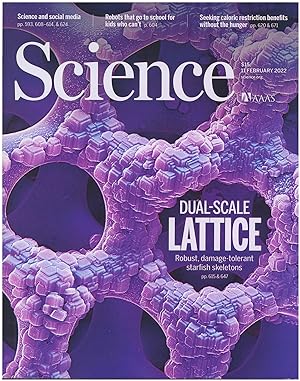 Science Magazine: Dual-Scale Lattice (11 February 2022, Vol 375, No 6581)