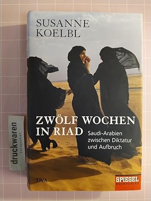 Seller image for Zwlf Wochen in Riad. Saudi-Arabien zwischen Diktatur und Aufbruch. for sale by Druckwaren Antiquariat