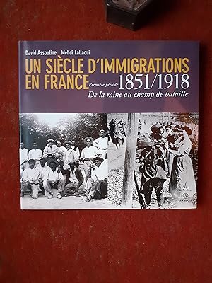 Un siècle d'immigrations en France. Première période 1851-1918 : De la mine au champ de bataille