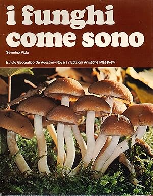 Seller image for I funghi come sono for sale by Libro Co. Italia Srl