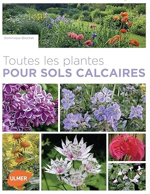 toutes les plantes pour sols calcaires