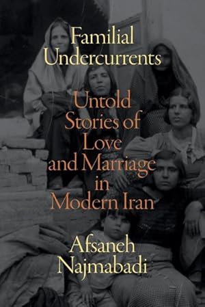 Bild des Verkufers fr Familial Undercurrents : Untold Stories of Love and Marriage in Modern Iran zum Verkauf von AHA-BUCH GmbH