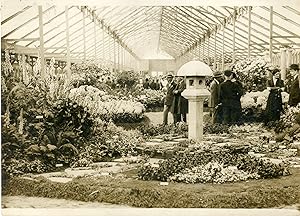 "Exposition d'horticulture PARIS 1931" Photo de presse originale par G. DEVRED / Agence ROL Paris...