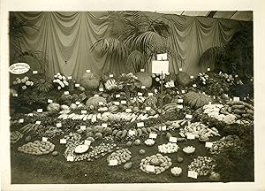 "Exposition horticole COURS LA REINE 1931" Photo de presse originale par G. DEVRED / Agence ROL P...