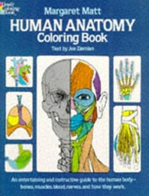 Bild des Verkufers fr Human Anatomy zum Verkauf von Smartbuy