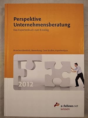 Perspektive Unternehmensberatung 2012. Das Expertenbuch zum Einstieg. Branchenüberblick, Bewerbun...