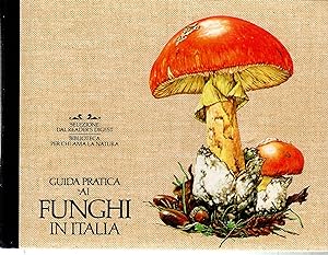 Guida Pratica ai Funghi in Italia
