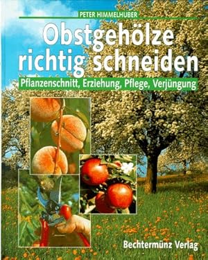 Seller image for Obstgehlze richtig schneiden. Pflanzenschnitt, Erziehung, Pflege, Verjngung for sale by Preiswerterlesen1 Buchhaus Hesse