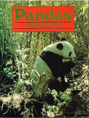 Immagine del venditore per Pandas venduto da First Class Used Books