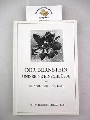 Der Bernstein und seine Einschlüsse.