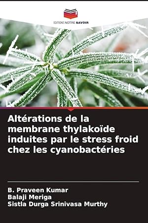 Seller image for Altrations de la membrane thylakode induites par le stress froid chez les cyanobactries for sale by moluna