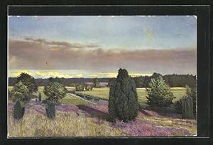 Bild des Verkufers fr Knstler-Ansichtskarte Photochromie Nr.2467: Landschaftsbild mit Bumen welche einen Bach sumen zum Verkauf von Bartko-Reher