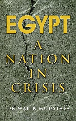Bild des Verkufers fr Egypt, a Nation in Crisis zum Verkauf von WeBuyBooks