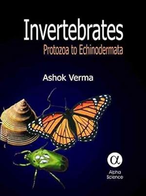 Bild des Verkufers fr Invertebrates: Protozoa to Echinodermata zum Verkauf von WeBuyBooks