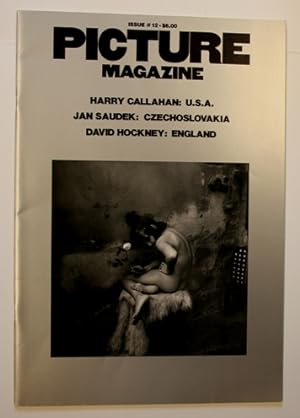 Seller image for Picture Magazine. Harry Callahan: U.S.A. - Jan Saudek: Czechoslovakia - David Hockney: England. for sale by Antiquariaat Berger & De Vries