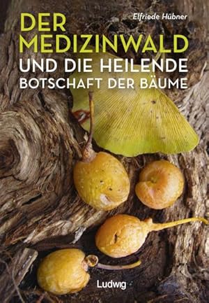 Bild des Verkufers fr Der Medizinwald und die heilende Botschaft der Bume. zum Verkauf von AHA-BUCH GmbH
