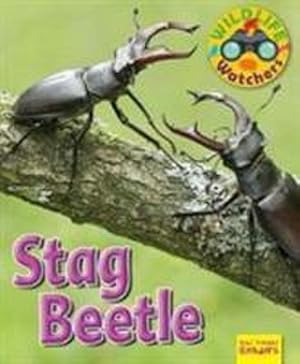 Bild des Verkufers fr Wildlife Watchers: Stag Beetle zum Verkauf von Smartbuy