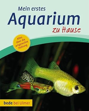 Mein erstes Aquarium zu Hause