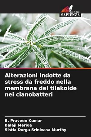 Seller image for Alterazioni indotte da stress da freddo nella membrana del tilakoide nei cianobatteri for sale by moluna