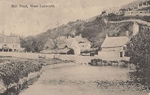 Mill Pond West Lulworth 1910 Hotel Visitor Dorset Antique Postcard