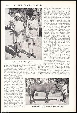 Image du vendeur pour Tracking Indian Horse-Thieves, accomplished by a native police-officer in India. An uncommon original article from the Wide World Magazine, 1939. mis en vente par Cosmo Books