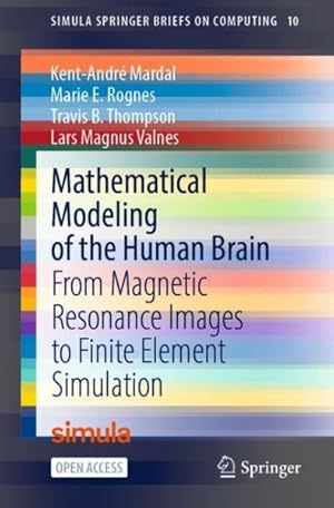 Seller image for Mathematical Modeling of the Human Brain : From Magnetic Resonance Images to Finite Element Simulation for sale by GreatBookPrices