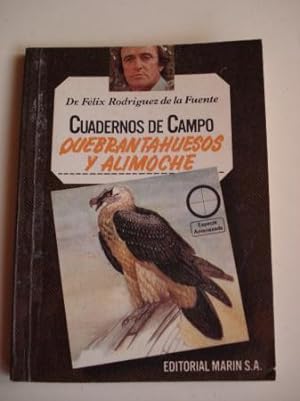 Imagen del vendedor de Quebrantahuesos y alimoche. Cuadernos de Campo, n 16 a la venta por GALLAECIA LIBROS
