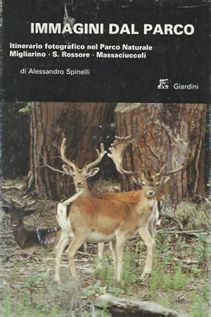 Bild des Verkufers fr Immagini dal Parco. Itinerario fotografico nel Parco Naturale Migliarino, S.Rossore, Massaciuccoli. zum Verkauf von FIRENZELIBRI SRL