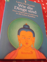 Image du vendeur pour Wie die Dinge sind Eine zeitgeme Einfhrung in die Lehre Buddhas mis en vente par Alte Bcherwelt