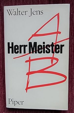 Herr Meister. Dialog über einen Roman.