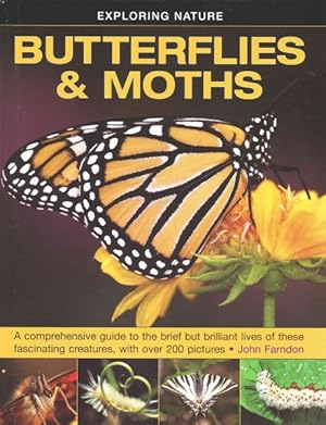 Imagen del vendedor de Butterflies & Moths : A Comprehensive Guide to the Brief but Brilliant Lives of These Fascinating Creatures, With Over 200 Pictures a la venta por GreatBookPrices