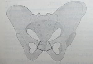 Die osteplastische Symphysenresektion. IN: Zbl. Chir., 31/15, S. 449-451, 1904, Brosch.